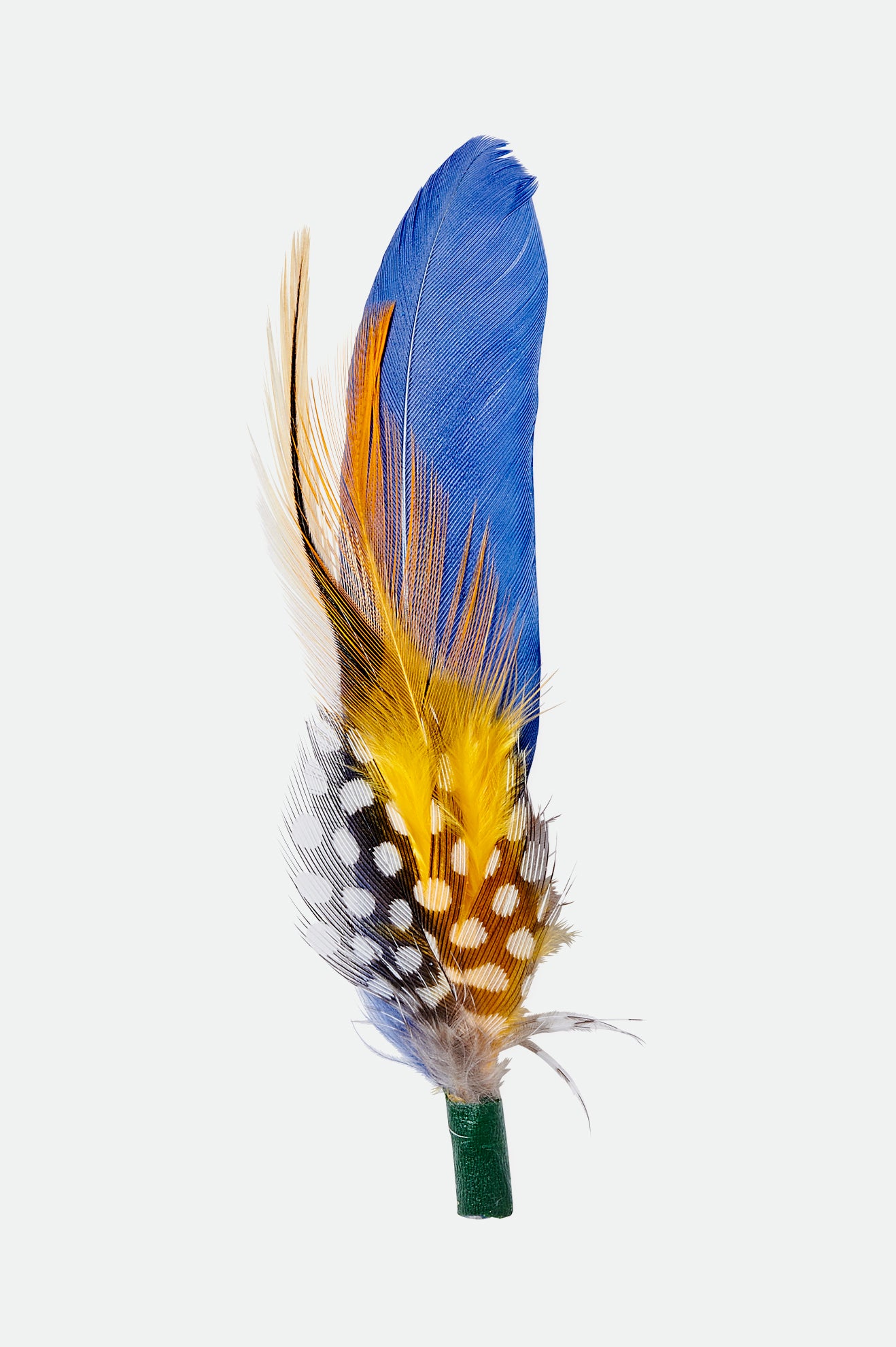 Brixton Keith Hat Feather アクセサリー ユニセックす カラー | QIDLJ0597